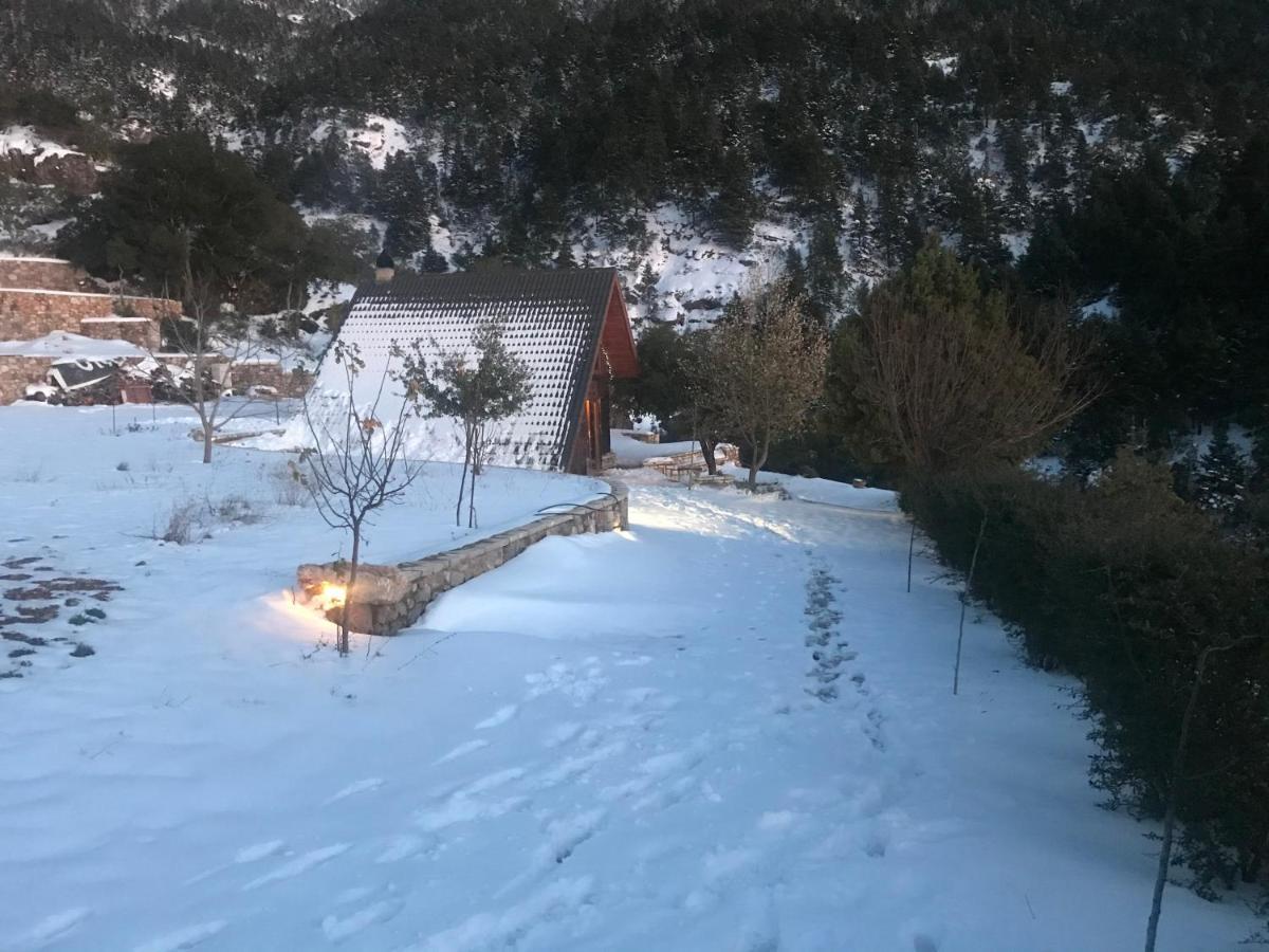 Salet Στο Δασοσ Villa Kalavryta Exterior foto
