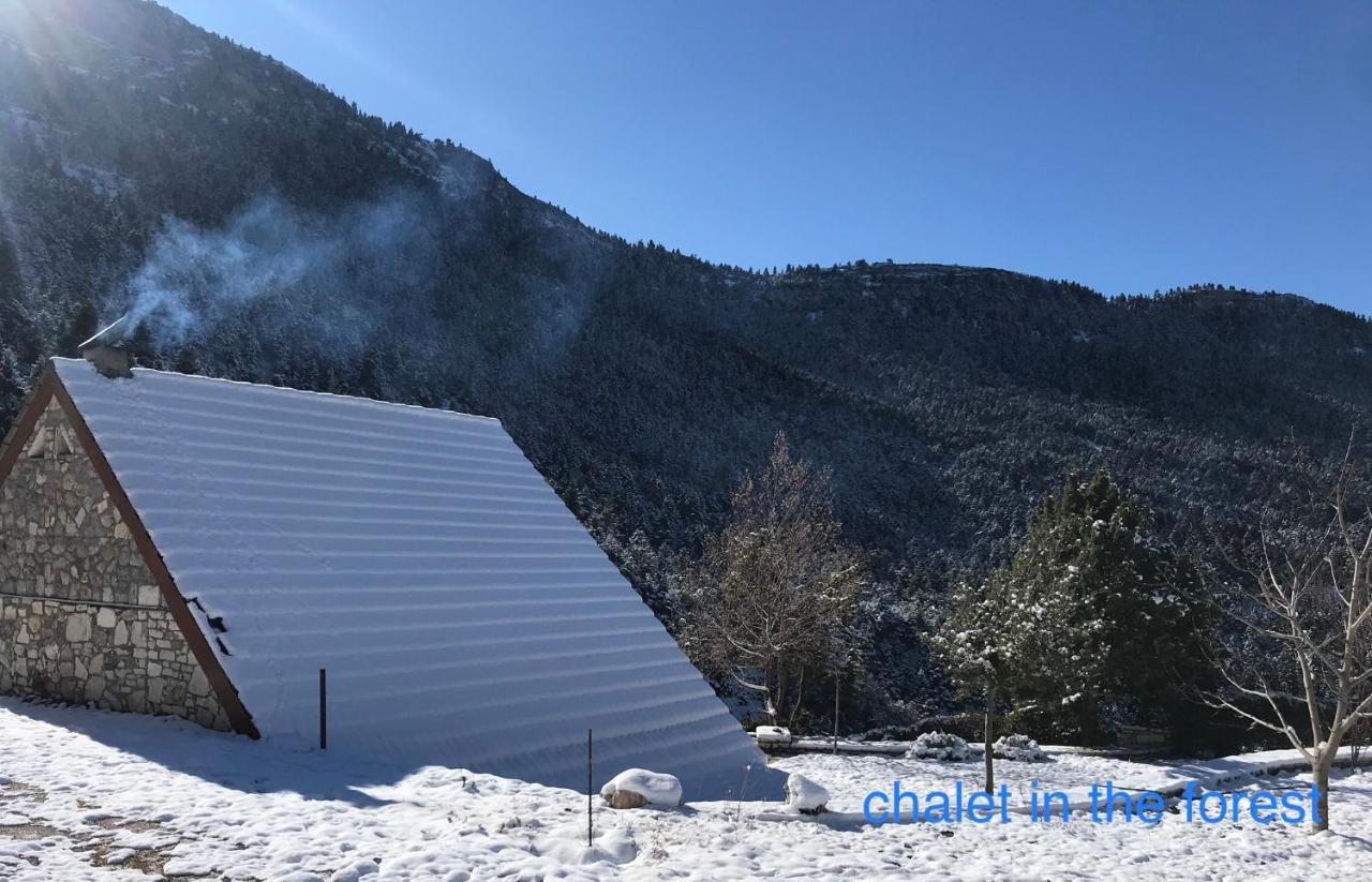 Salet Στο Δασοσ Villa Kalavryta Exterior foto