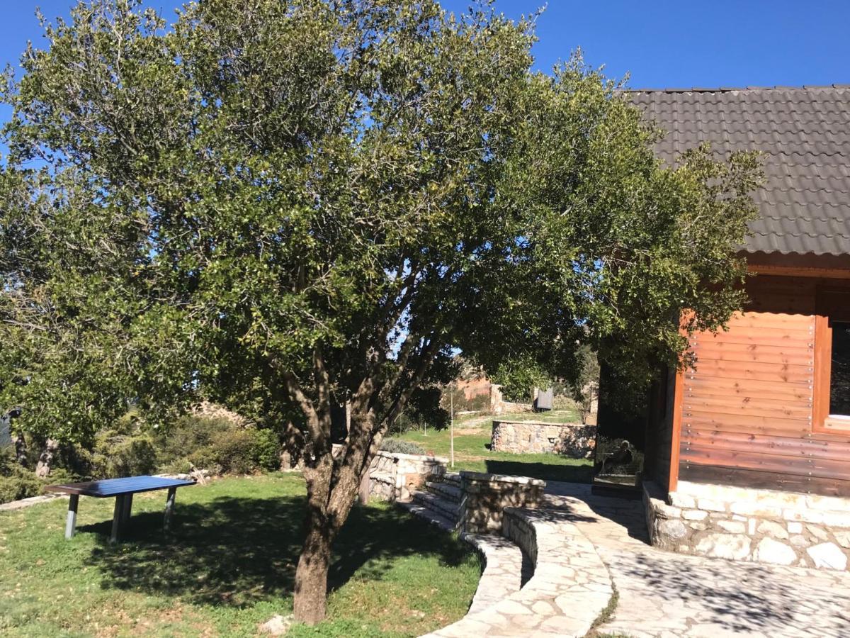 Salet Στο Δασοσ Villa Kalavryta Exterior foto