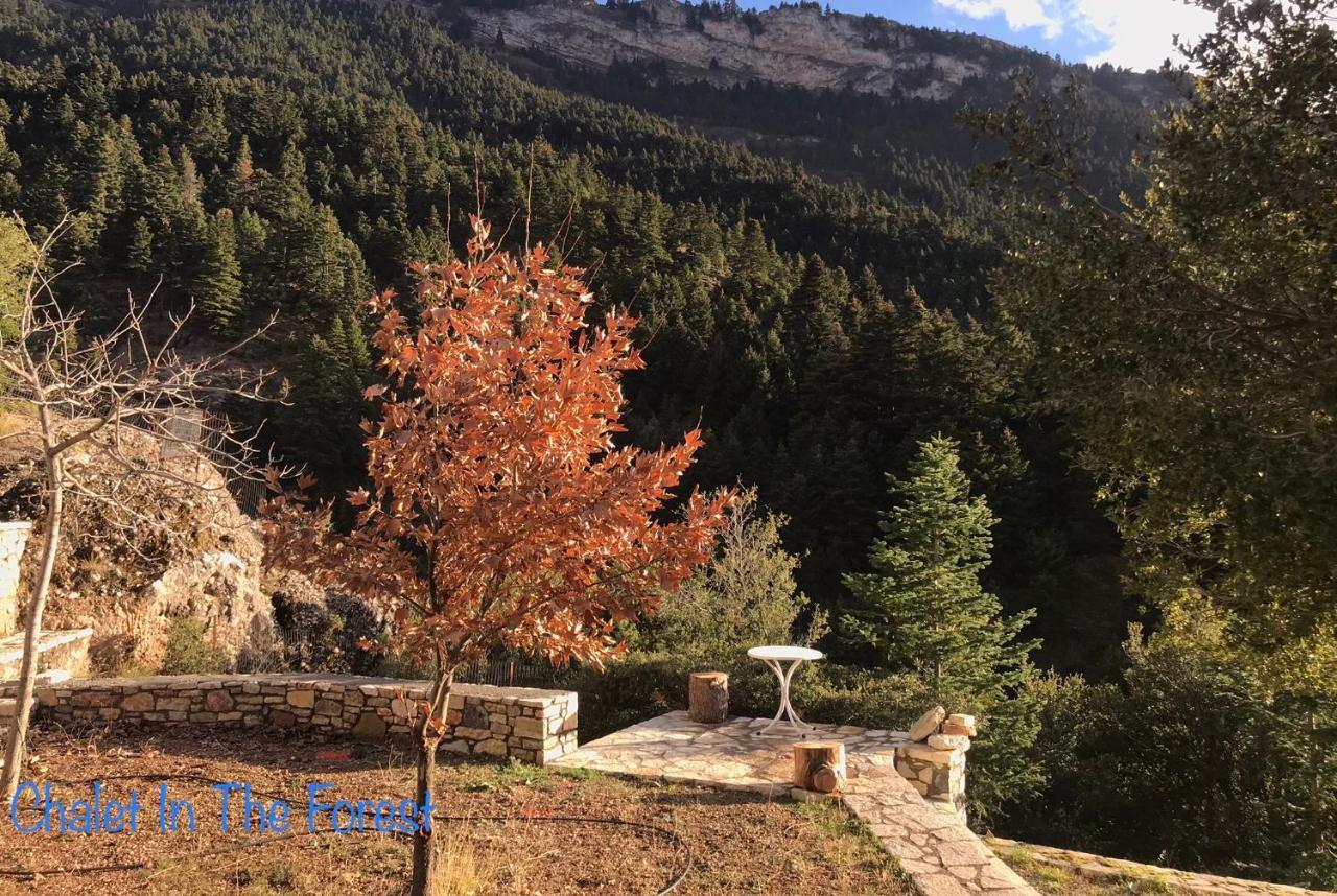 Salet Στο Δασοσ Villa Kalavryta Exterior foto
