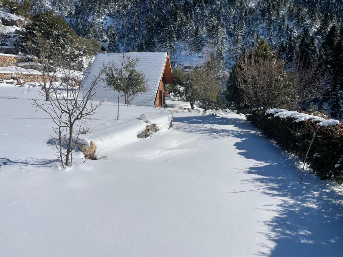 Salet Στο Δασοσ Villa Kalavryta Exterior foto