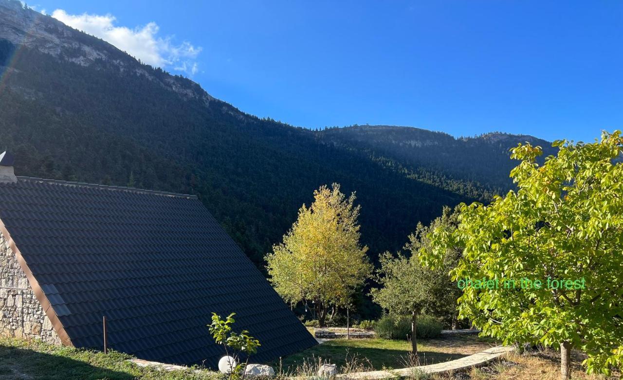 Salet Στο Δασοσ Villa Kalavryta Exterior foto