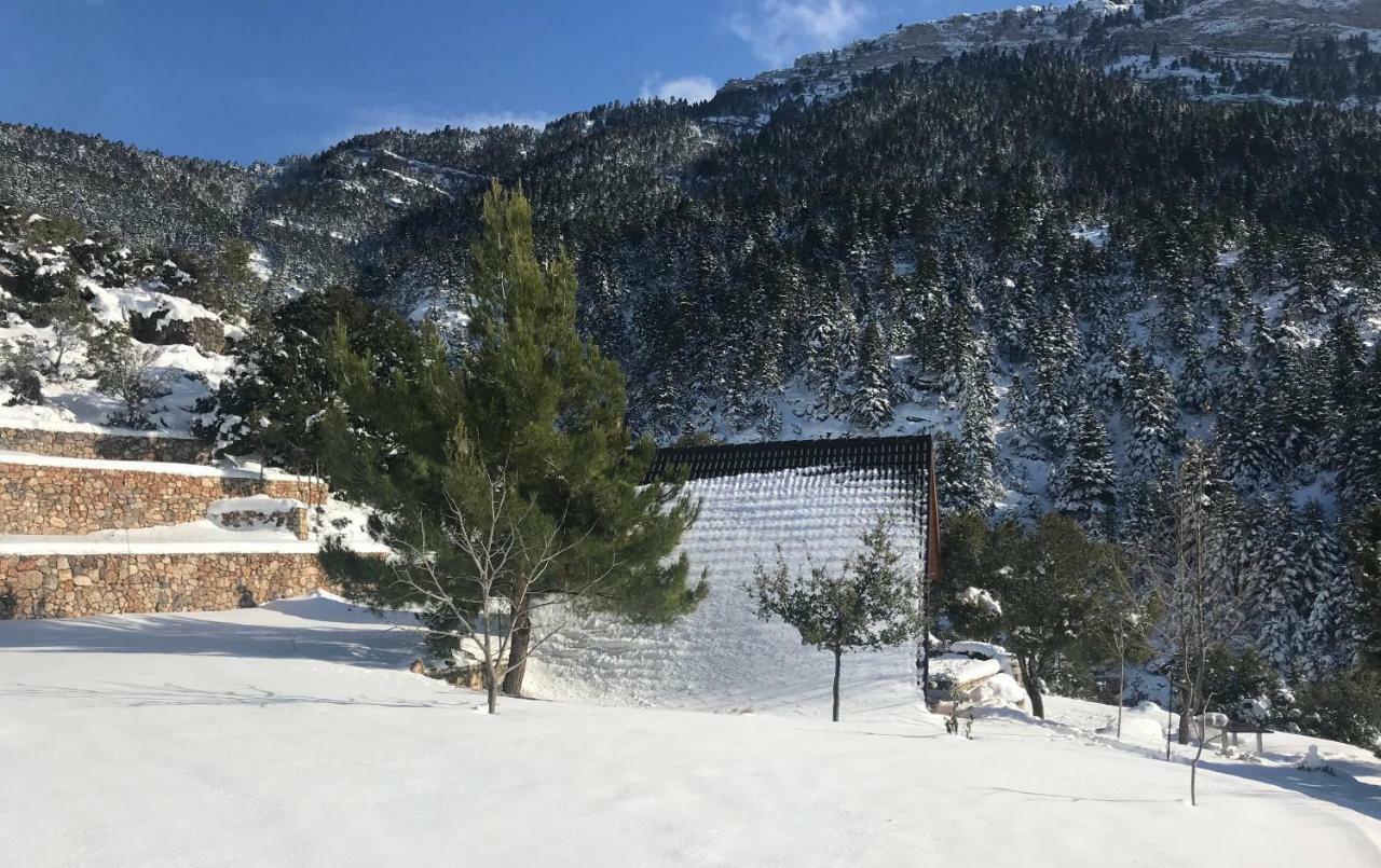 Salet Στο Δασοσ Villa Kalavryta Exterior foto