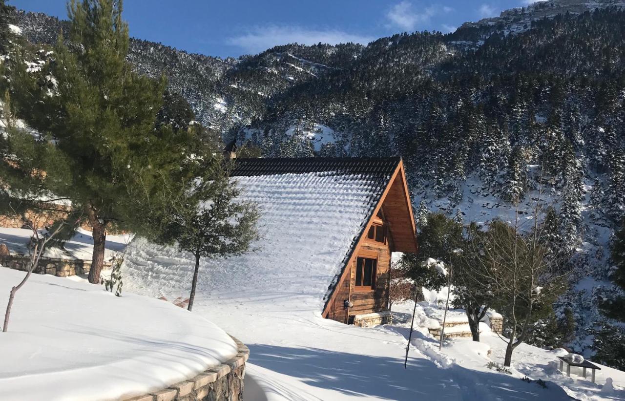 Salet Στο Δασοσ Villa Kalavryta Exterior foto