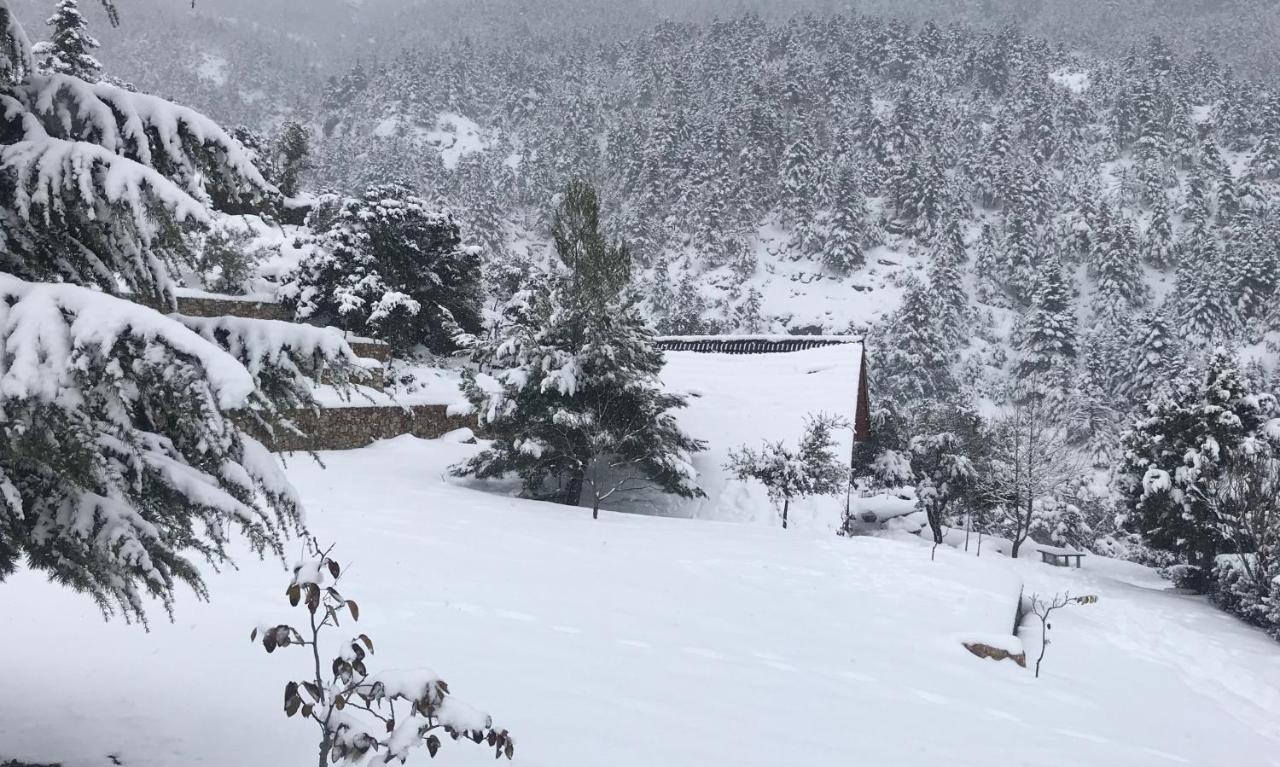 Salet Στο Δασοσ Villa Kalavryta Exterior foto