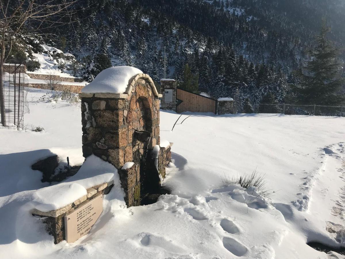 Salet Στο Δασοσ Villa Kalavryta Exterior foto
