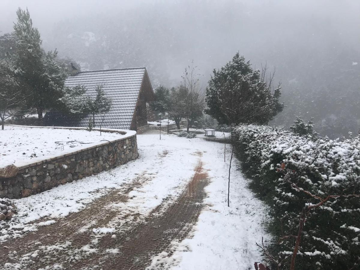 Salet Στο Δασοσ Villa Kalavryta Exterior foto