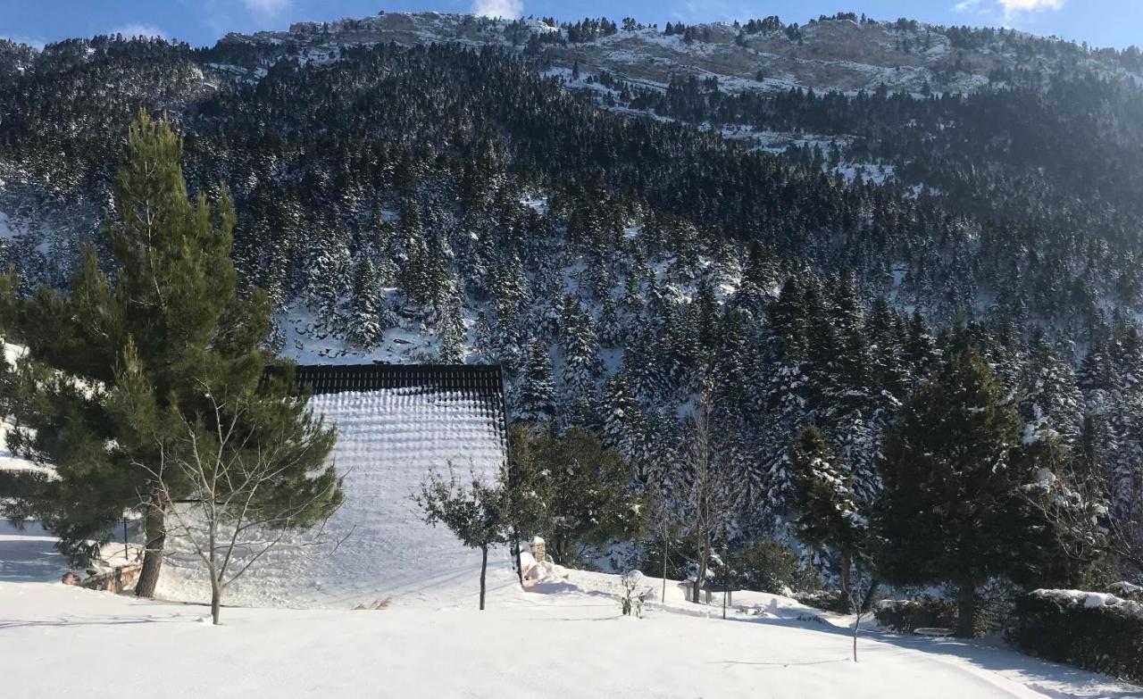 Salet Στο Δασοσ Villa Kalavryta Exterior foto