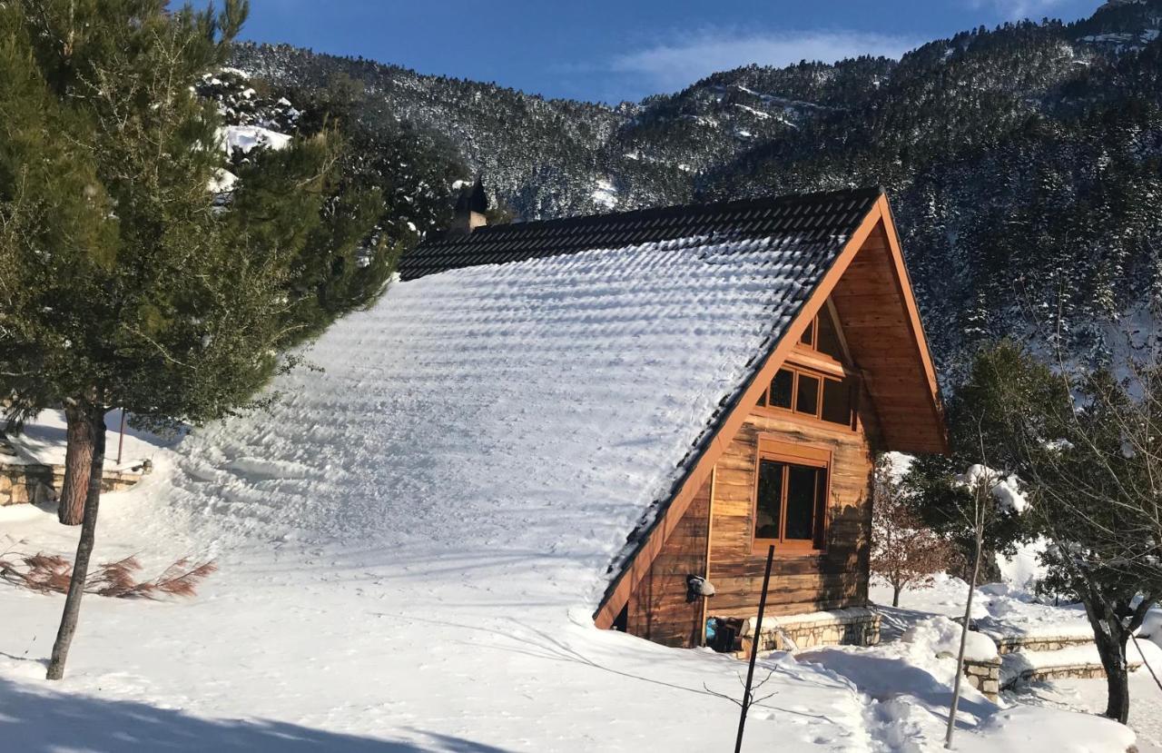 Salet Στο Δασοσ Villa Kalavryta Exterior foto